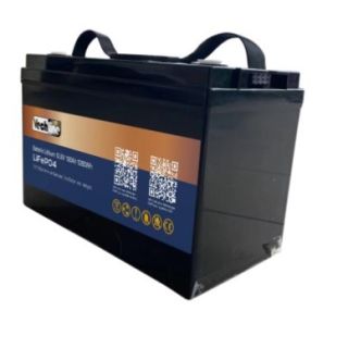 Vechline LiFePO4 Accu 100Ah
