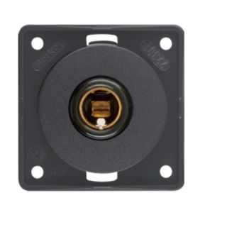 Berker Contactdoos 12V Klein Inbouw Antraciet Mat