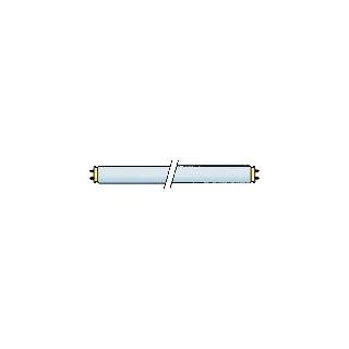 Buislamp TL 12V/8W